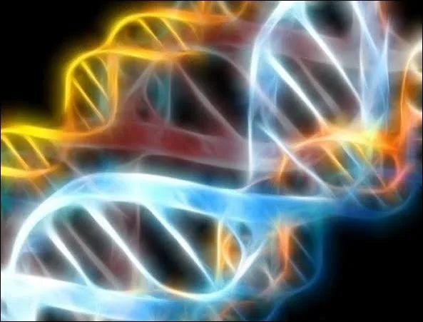 adn helices