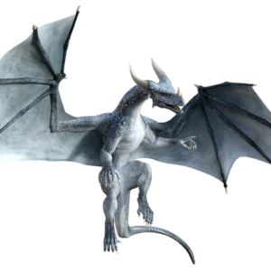 Reiki du Dragon Blanc